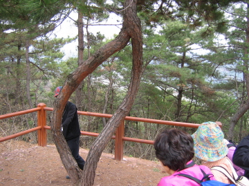제대로 보입니다.